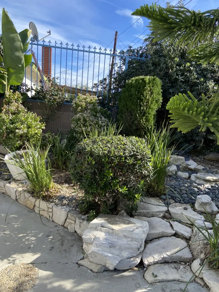 Local lawn mowing service for beautiful yards across Inglewood, CA - J&M lawncare Landscape Service