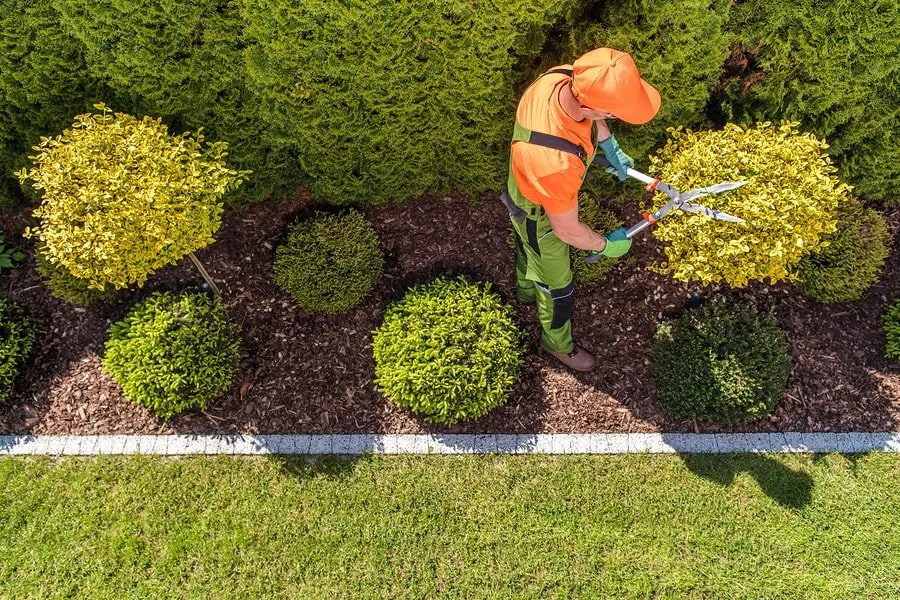 Local garden landscaping in Chula Vista, CA by JM Lawns & Landscaping Services