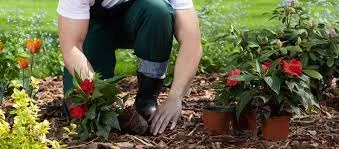 Reliable garden landscaping for beautiful yards across Chula Vista, CA - JM Lawns & Landscaping Services