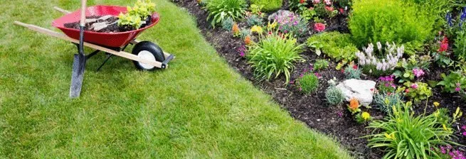 Top-rated landscape installation for beautiful yards in Chula Vista, CA by JM Lawns & Landscaping Services