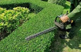 Affordable landscape installation for beautiful yards across Chula Vista, CA - JM Lawns & Landscaping Services