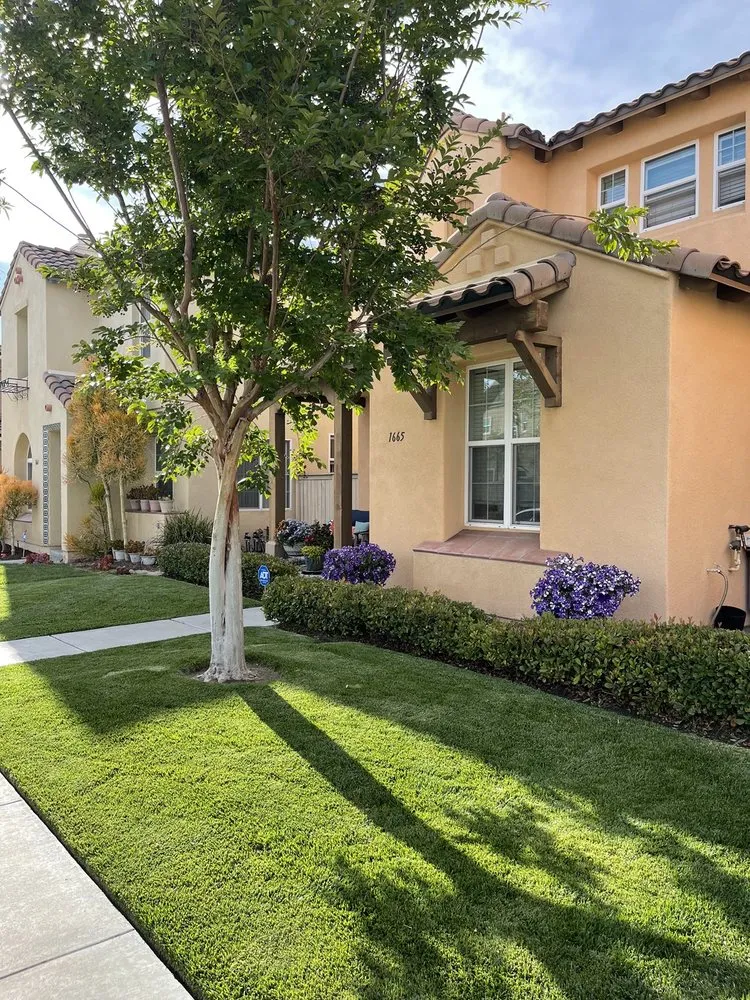 Affordable landscaping services experts serving Chula Vista, CA - JM Lawns & Landscaping Services