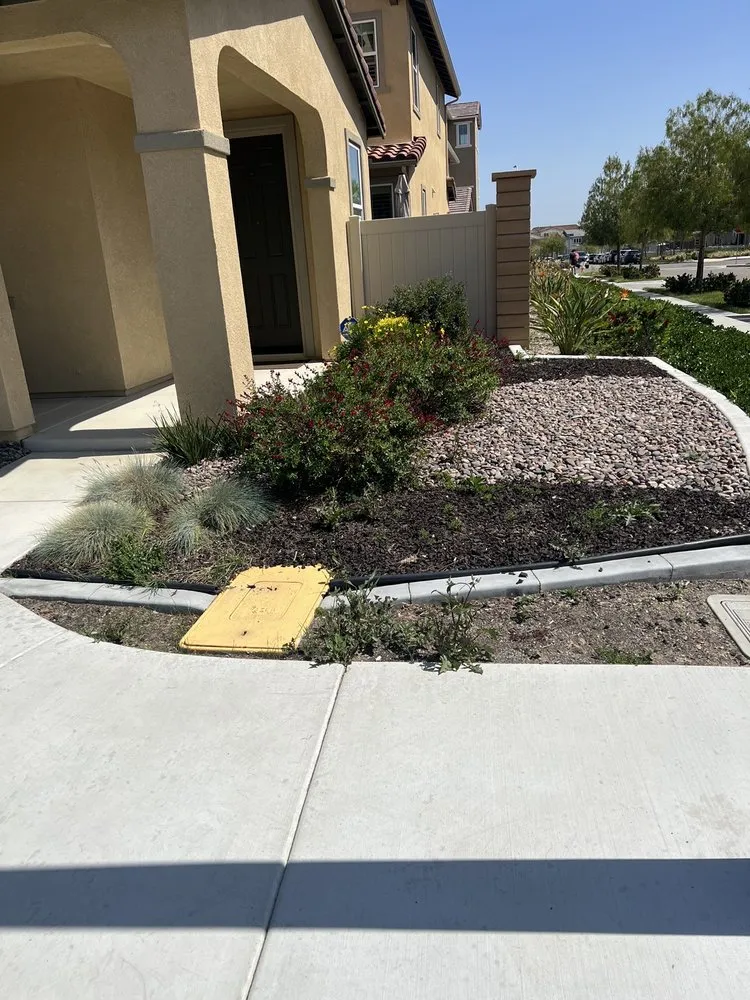 Local yard cleanup service in Chula Vista, CA by JM Lawns & Landscaping Services