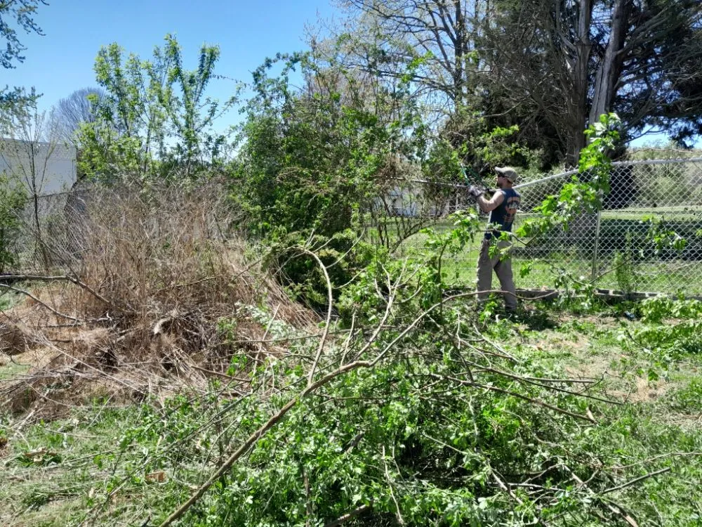 Reliable landscaping services for homes in Bloomsburg, PA by J&M Lot Clearing And Brush Removal