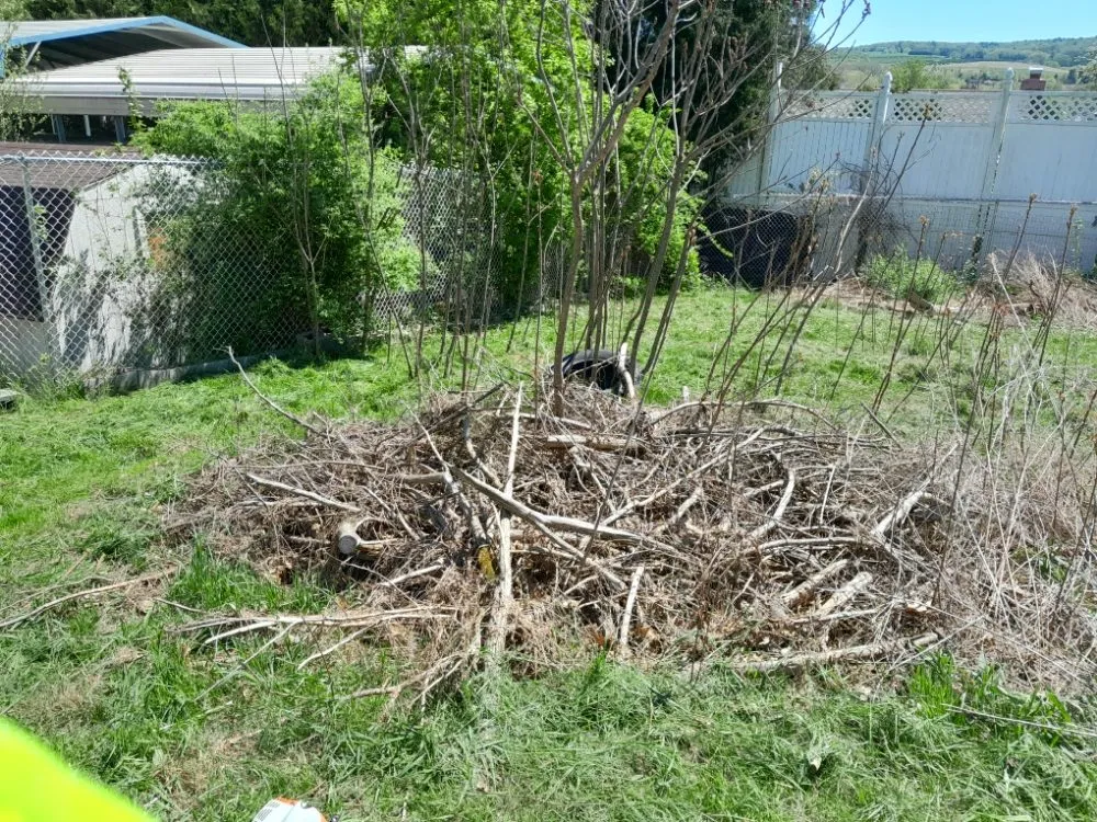 Local landscape design experts serving Bloomsburg, PA - J&M Lot Clearing And Brush Removal