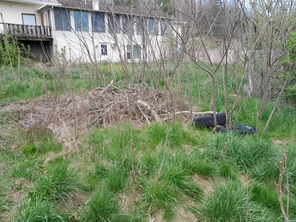 Local yard maintenance for outdoor upgrades in Bloomsburg, PA by J&M Lot Clearing And Brush Removal