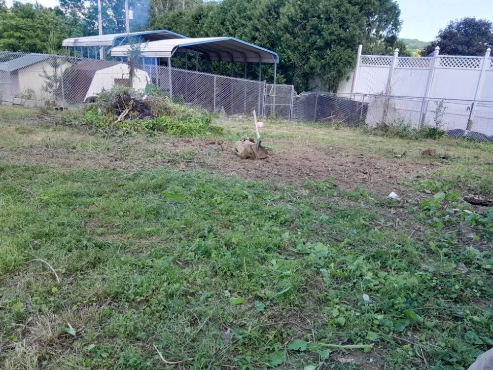 Local lawn care service experts serving Bloomsburg, PA - J&M Lot Clearing And Brush Removal