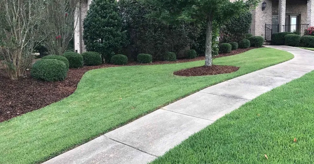 Expert yard maintenance for beautiful yards across West Monroe, LA - JM Outdoor Services