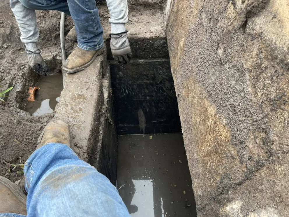 Trusted residential landscaping for year-round maintenance in Clermont, FL by J&M Outdoor Solutions