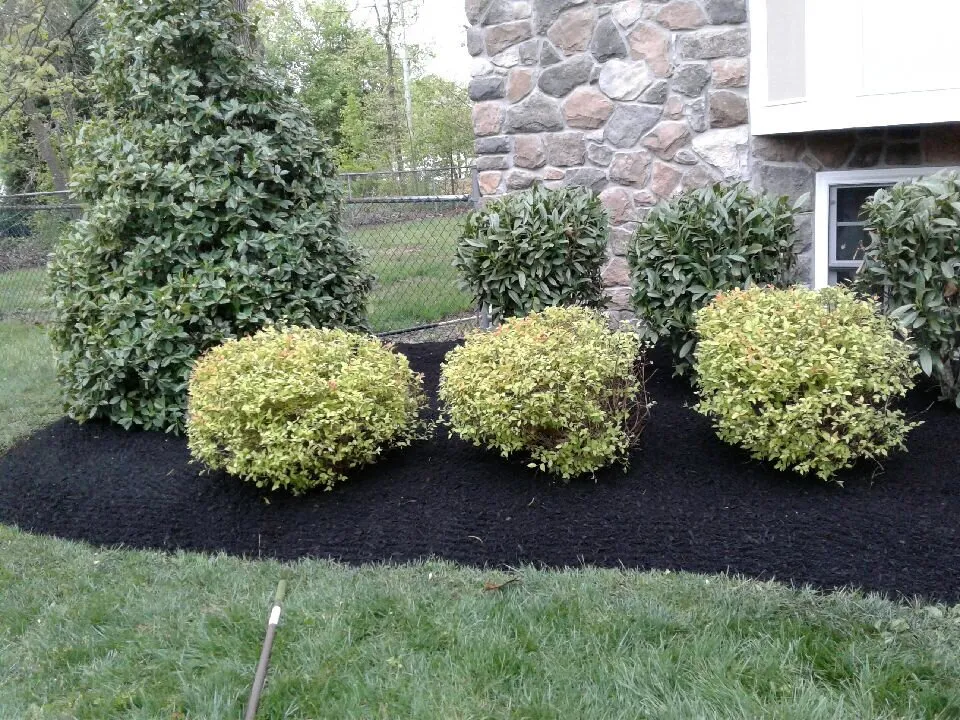 Professional landscape installation in Pasadena, MD - JM Outdoor Solutions