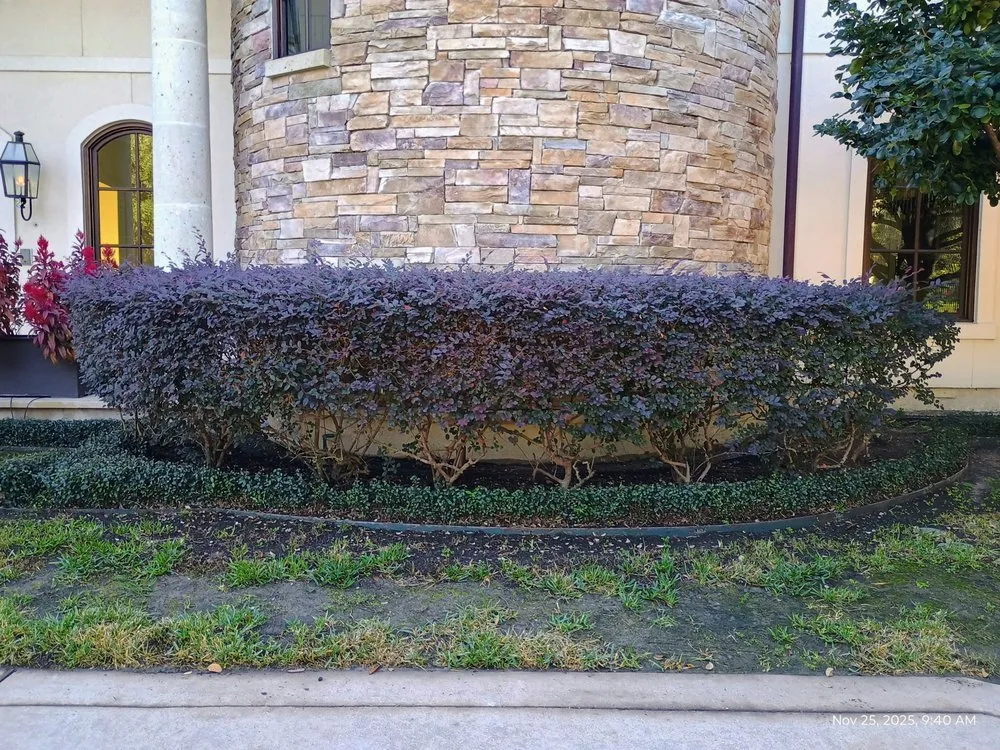 Affordable yard maintenance in Pearland, TX by Jm Perez Landscaping