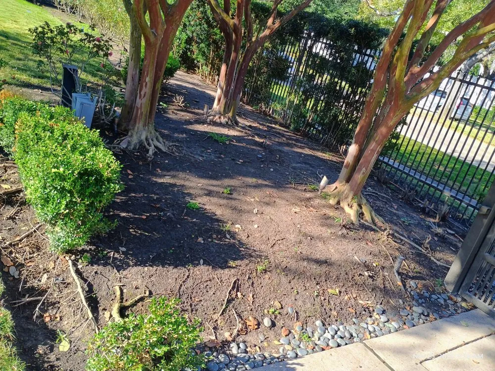 Trusted landscape design experts serving Pearland, TX - Jm Perez Landscaping