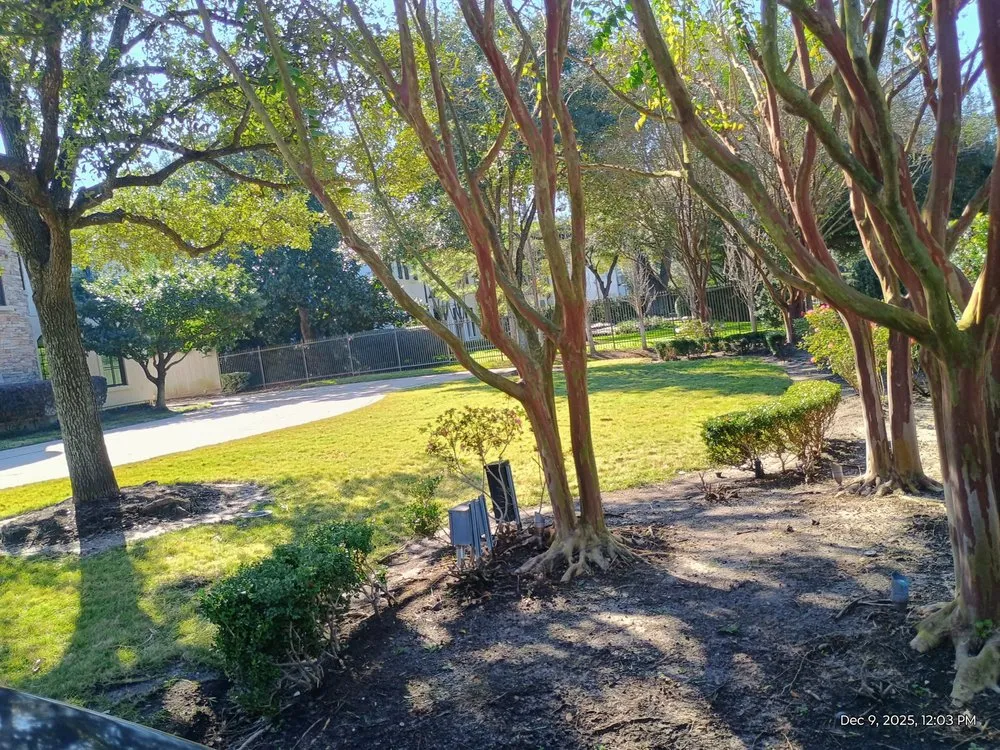 Expert yard maintenance experts serving Pearland, TX - Jm Perez Landscaping