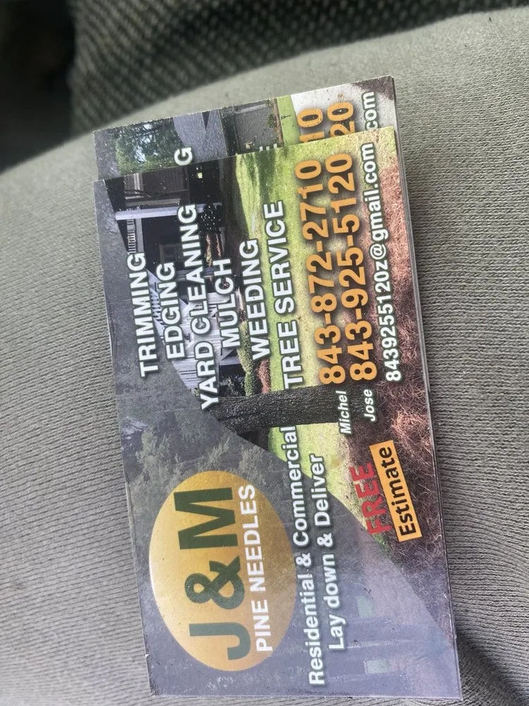 Affordable yard cleanup service in Hanahan, SC - J&M Pine needles