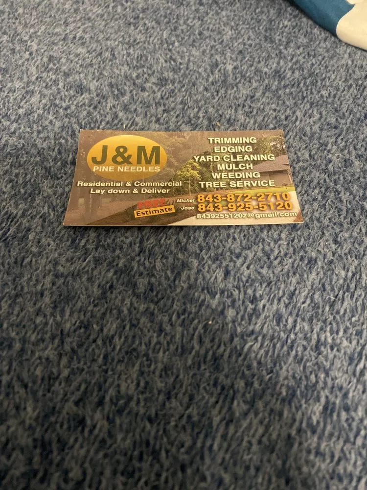 Custom outdoor landscaping for year-round maintenance in Hanahan, SC by J&M Pine needles