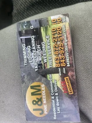 J&M Pine needles Logo