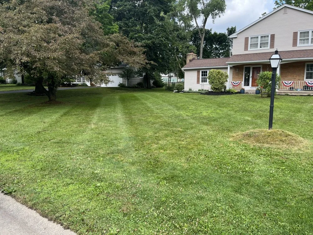 Reliable landscaping services with custom design in Pittsford, NY by JM Property Care