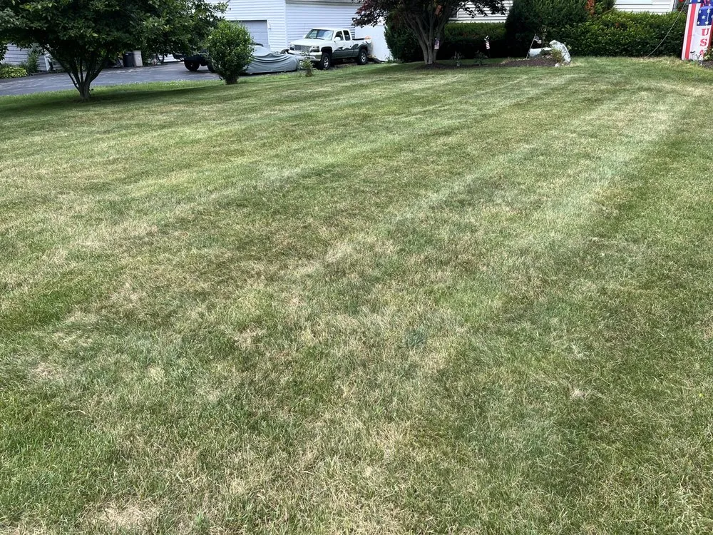 Expert yard maintenance experts serving Pittsford, NY - JM Property Care