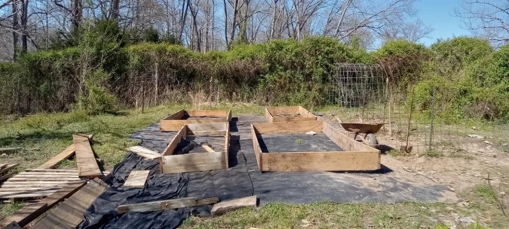 Reliable yard cleanup service for homes in Walnut Shade, MO by J&M Property Maintenance