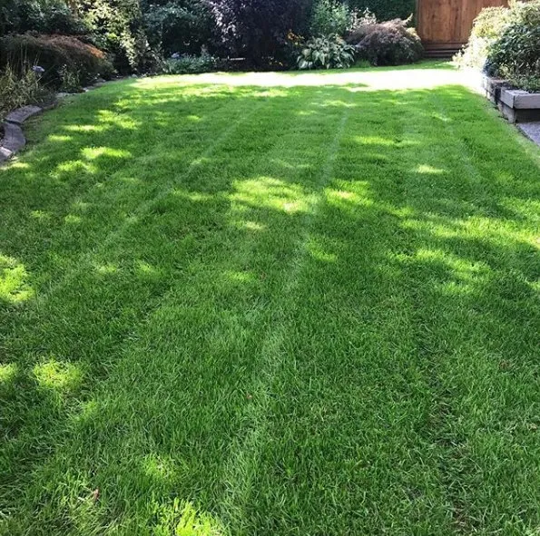 Affordable garden landscaping in Huntington Station, NY by JM Saravia Landscaping