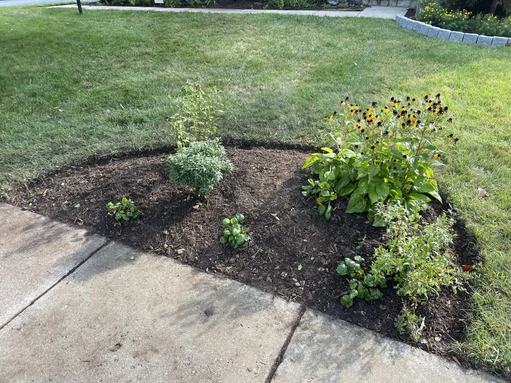 Expert landscape installation in Aldie, VA - JM Scapes