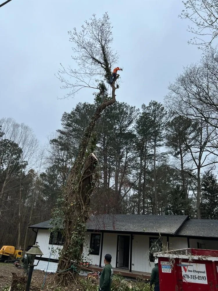Reliable landscaping services for residential properties across Douglasville, GA - J&M Stump Grinders