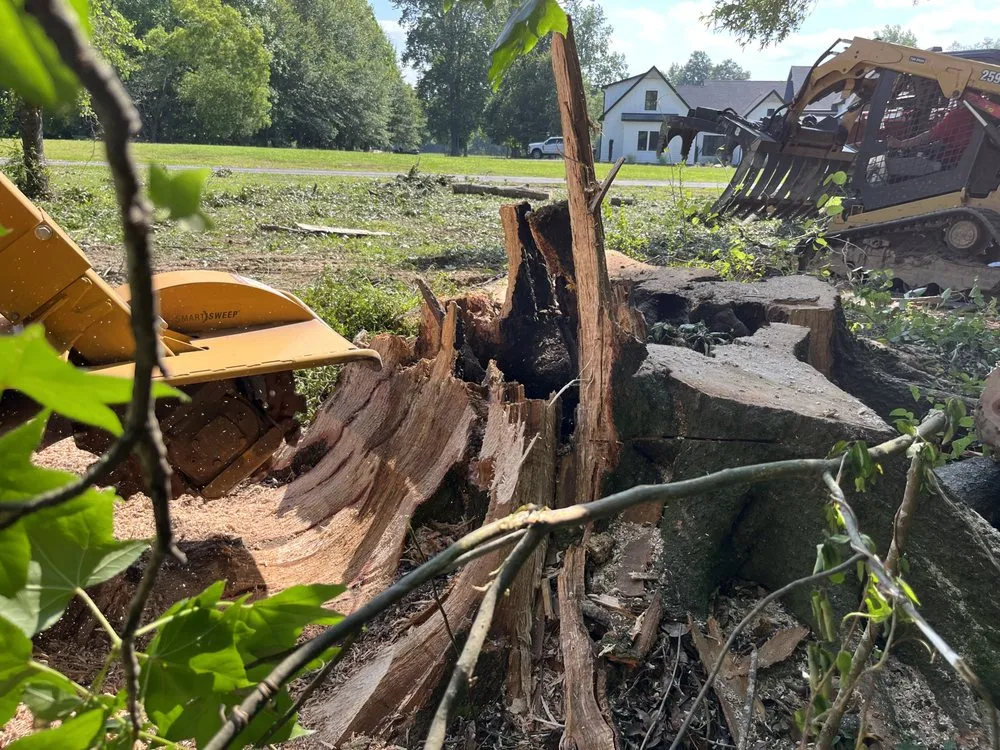 Reliable outdoor landscaping experts serving Douglasville, GA - J&M Stump Grinders