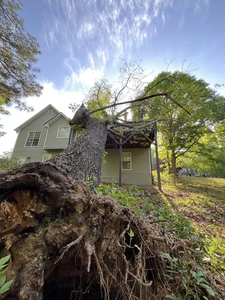 Professional lawn care service near you across Douglasville, GA - J&M Stump Grinders