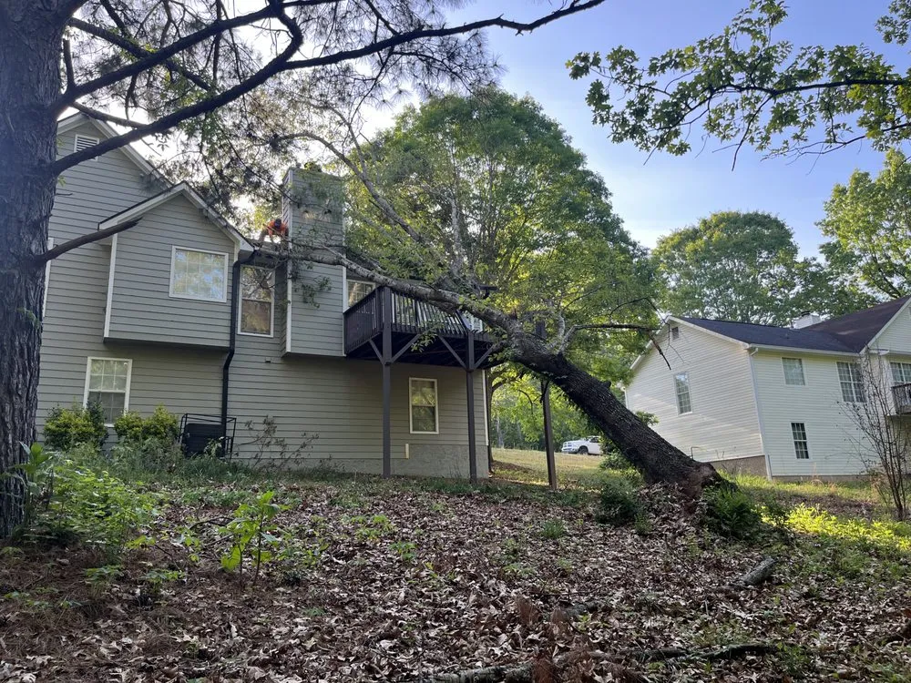 Affordable residential landscaping in Douglasville, GA by J&M Stump Grinders