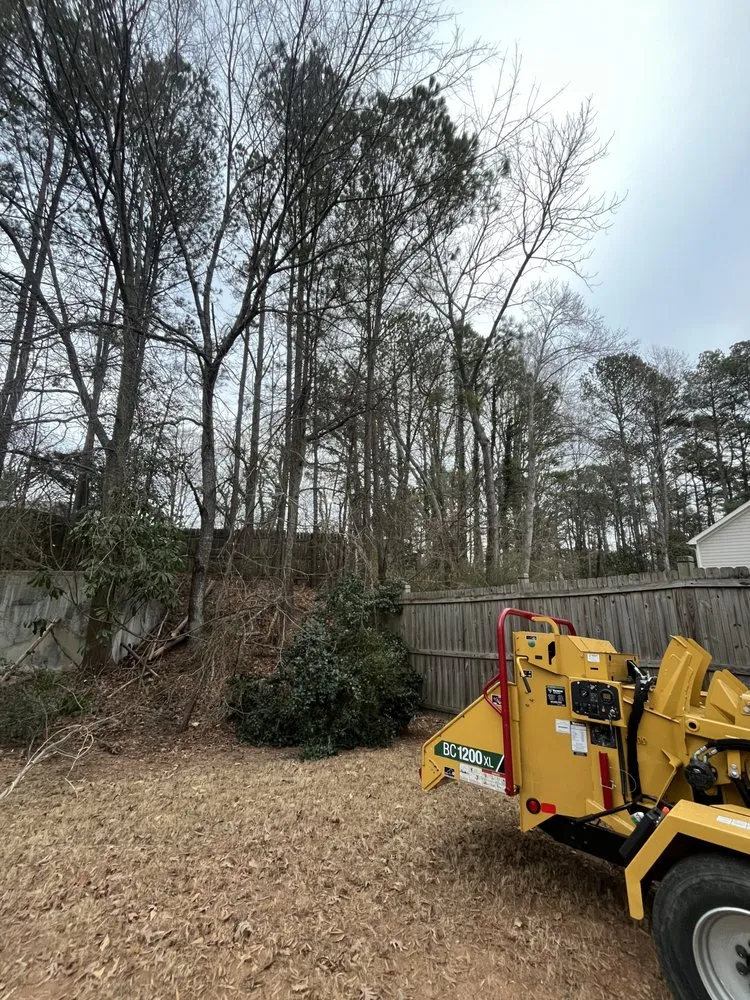 Reliable lawn care service in Douglasville, GA - J&M Stump Grinders