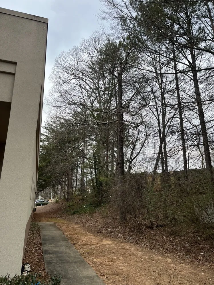 Custom yard maintenance in Douglasville, GA - J&M Stump Grinders