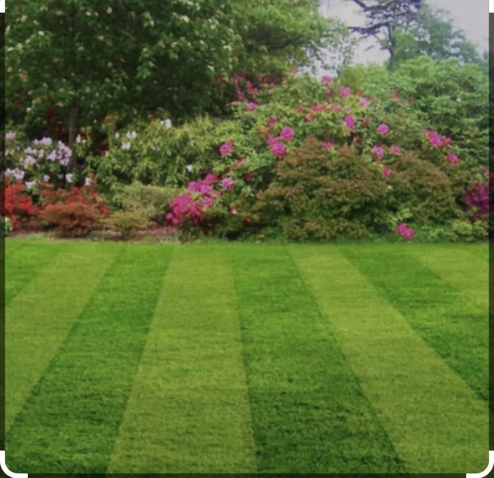 Trusted landscape design in Newcastle, WA - JM Sweetz Lawn Care