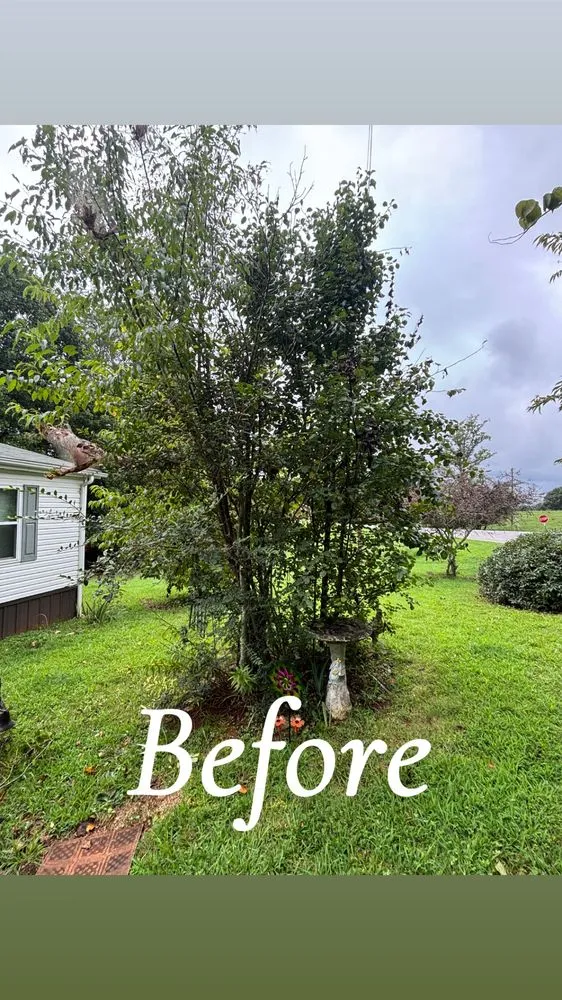 Affordable residential landscaping in North Wilkesboro, NC by J&M Total Landscaping N More