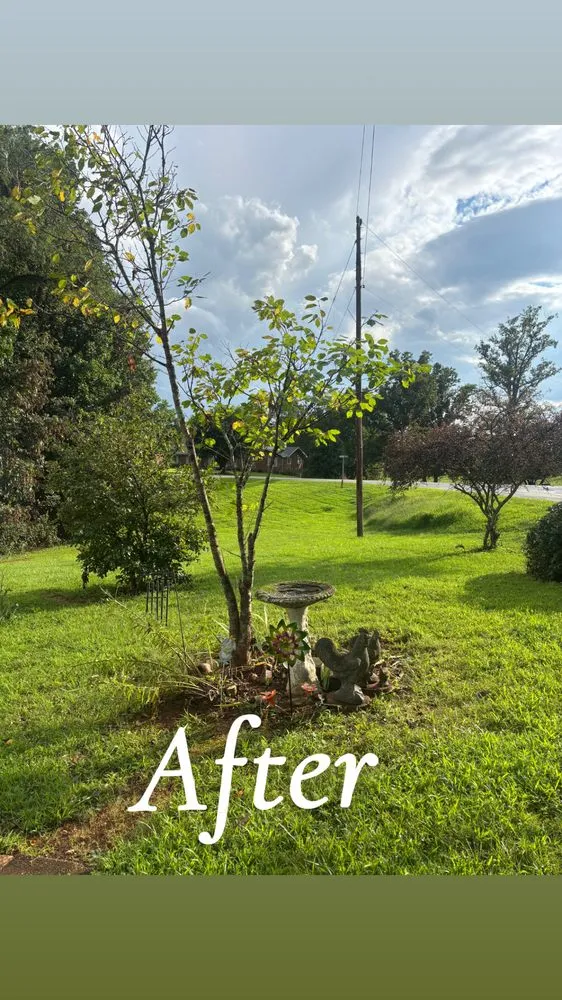 Expert garden landscaping for homes in North Wilkesboro, NC by J&M Total Landscaping N More