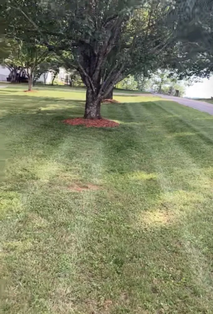 Professional landscape installation for homes in North Wilkesboro, NC by J&M Total Landscaping N More