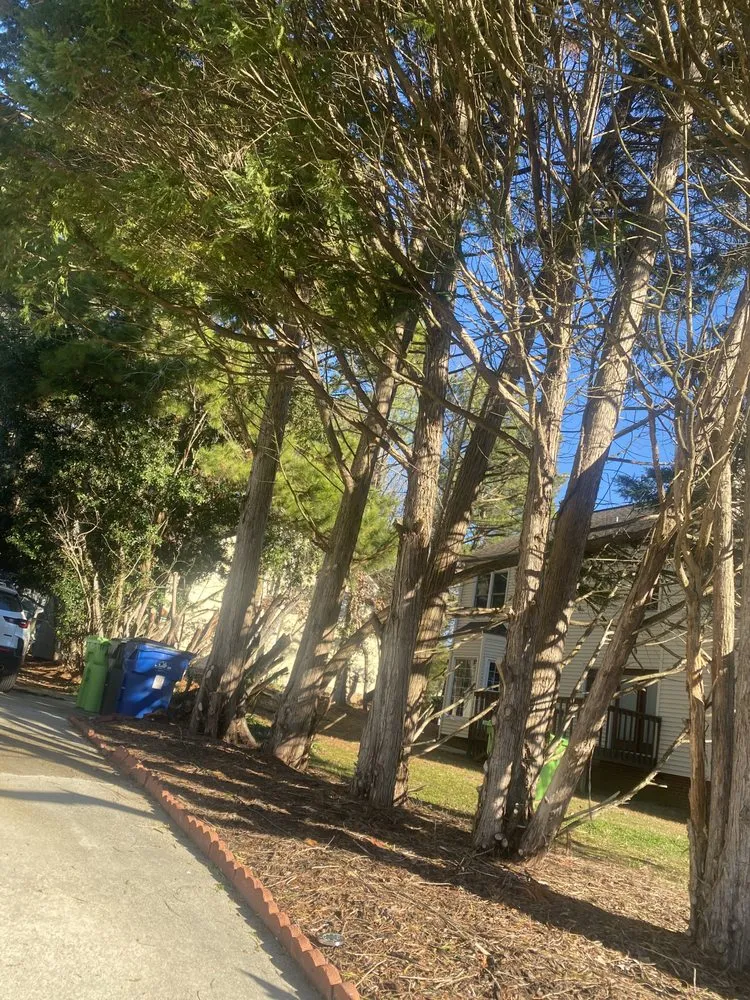 Custom landscape installation experts serving Louisburg, NC - J&M Tree & Excavating