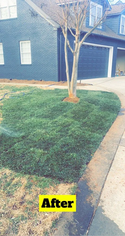 Top-rated outdoor landscaping in Louisburg, NC - J&M Tree & Excavating