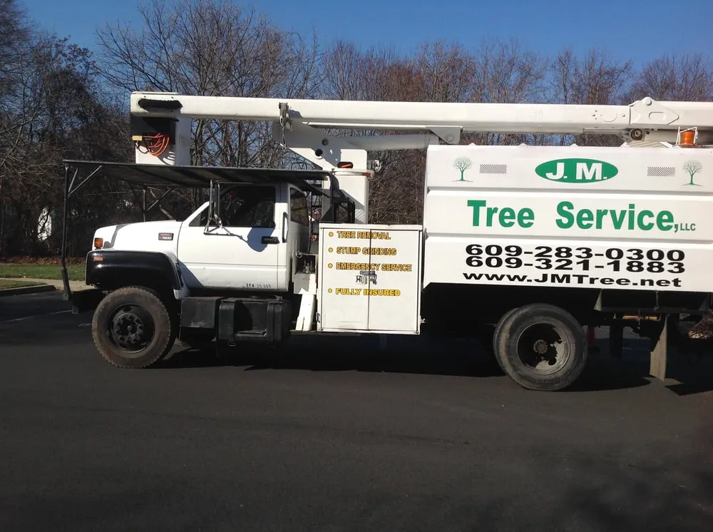 Reliable landscape installation in Browns Mills, NJ by JM Tree & Landscape Service
