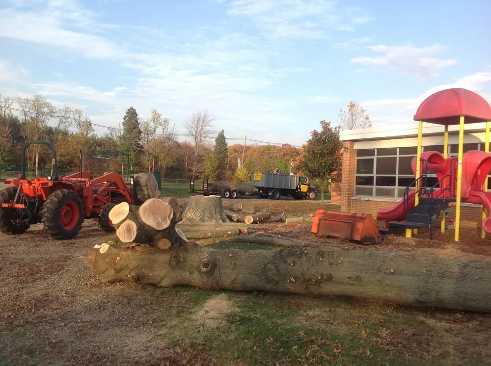 Expert yard cleanup service for year-round maintenance in Browns Mills, NJ by JM Tree & Landscape Service