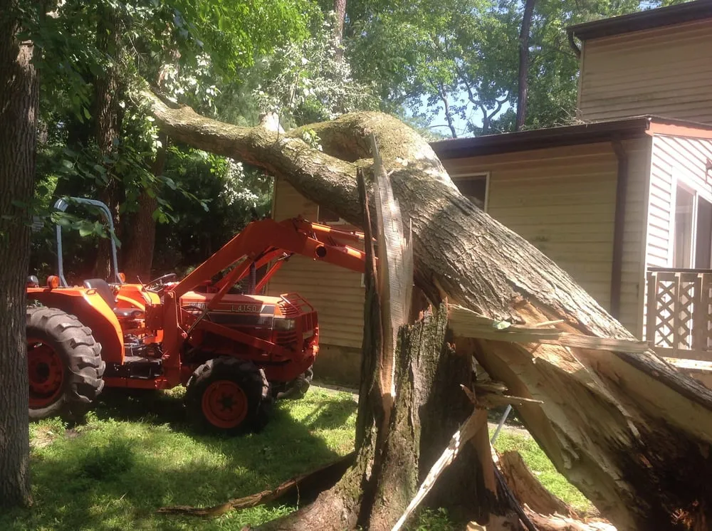 Trusted yard cleanup service for year-round maintenance across Browns Mills, NJ - JM Tree & Landscape Service