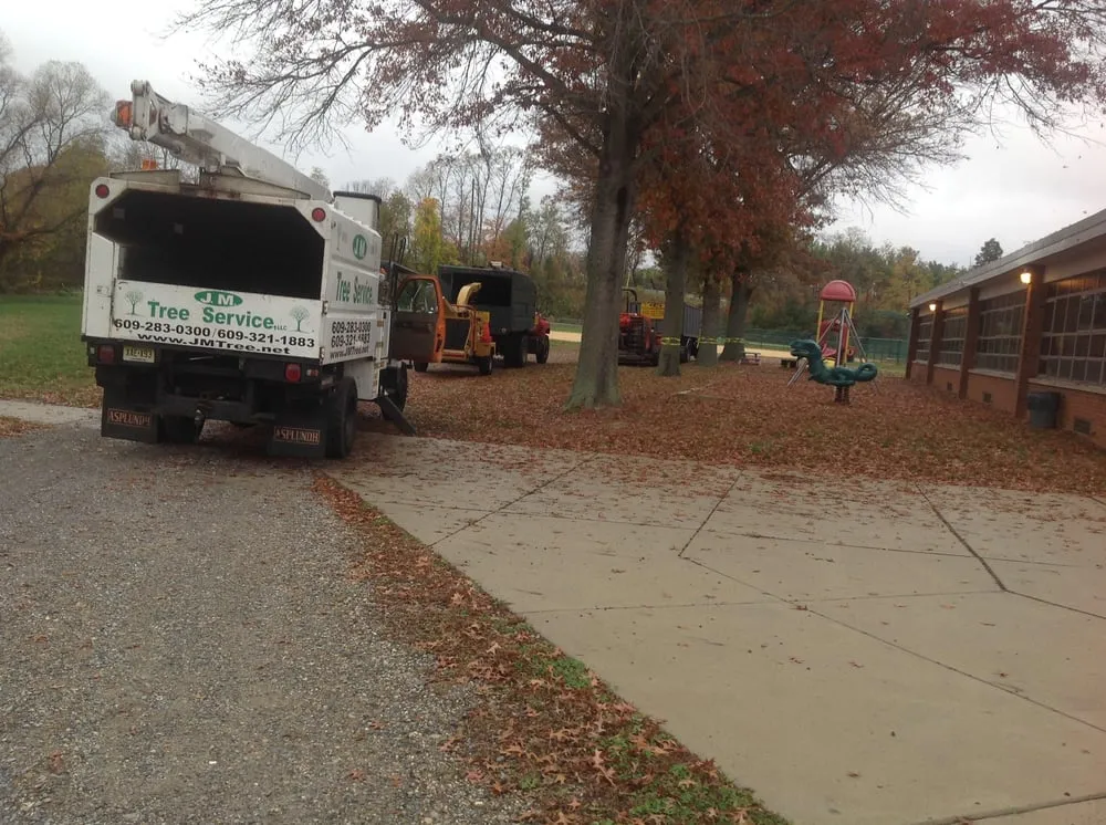 Affordable yard maintenance experts serving Browns Mills, NJ - JM Tree & Landscape Service