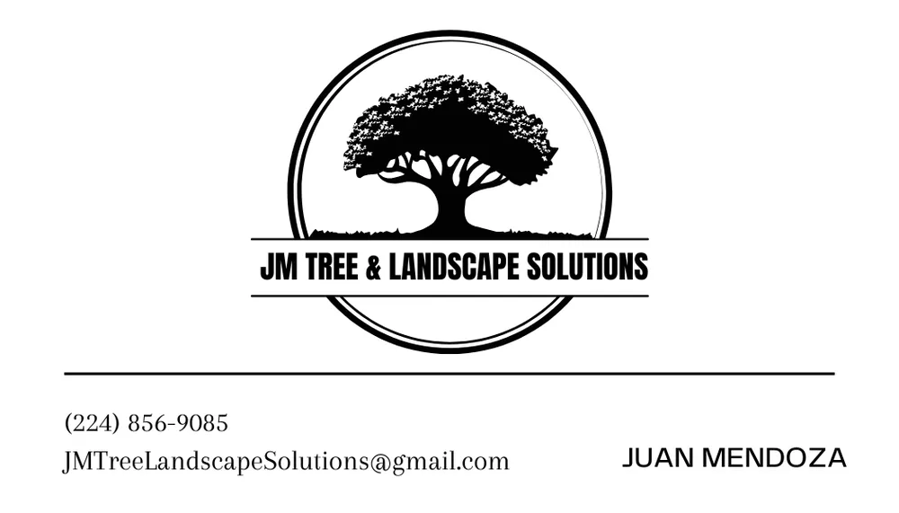 Trusted landscape design near you in Elgin, IL by JM Tree & Landscape Solutions