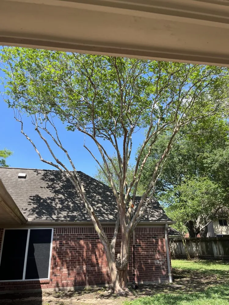 Affordable landscape installation experts serving Stafford, TX - JM TREE AND LAWN SERVICE