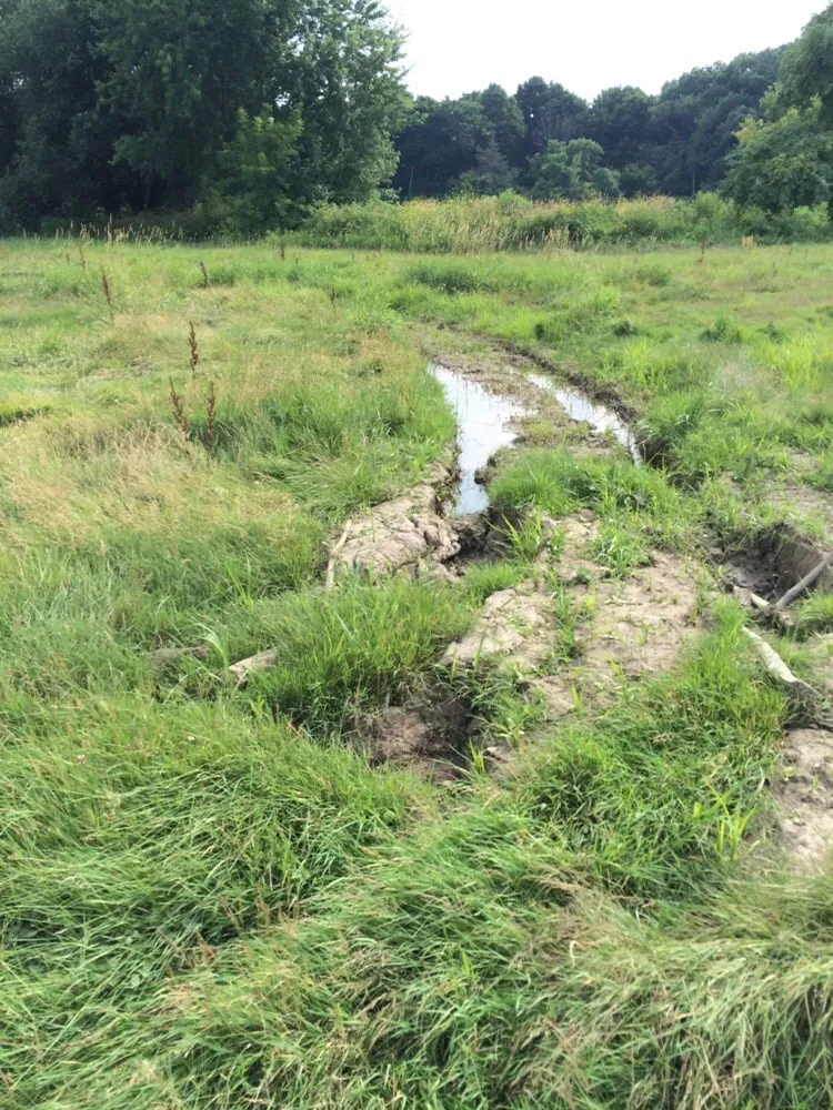 Custom landscape design in Flint, MI - J&M Tree Service