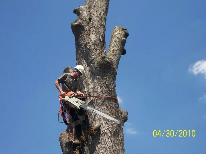 Trusted landscape design in Flint, MI by J&M Tree Service