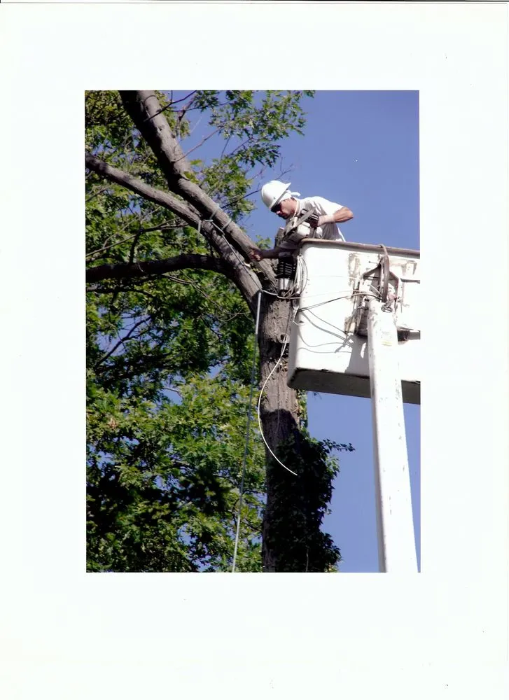 Expert residential landscaping in Flint, MI - J&M Tree Service
