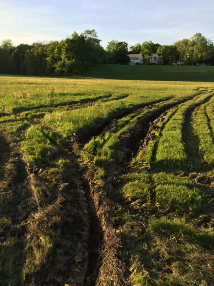 Affordable landscape installation near you across Flint, MI - J&M Tree Service