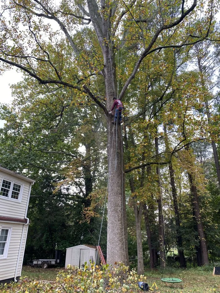 Affordable garden landscaping for outdoor upgrades in Fredericksburg, VA by J&M Tree Services