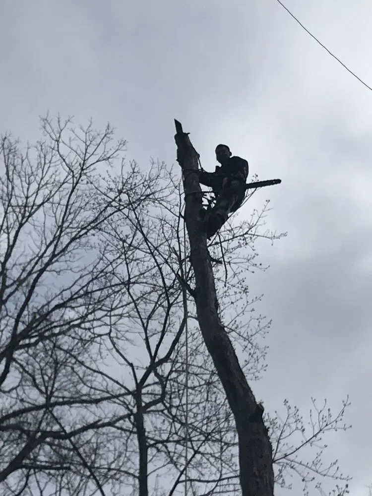 Custom outdoor landscaping with custom design in Fredericksburg, VA by J&M Tree Services