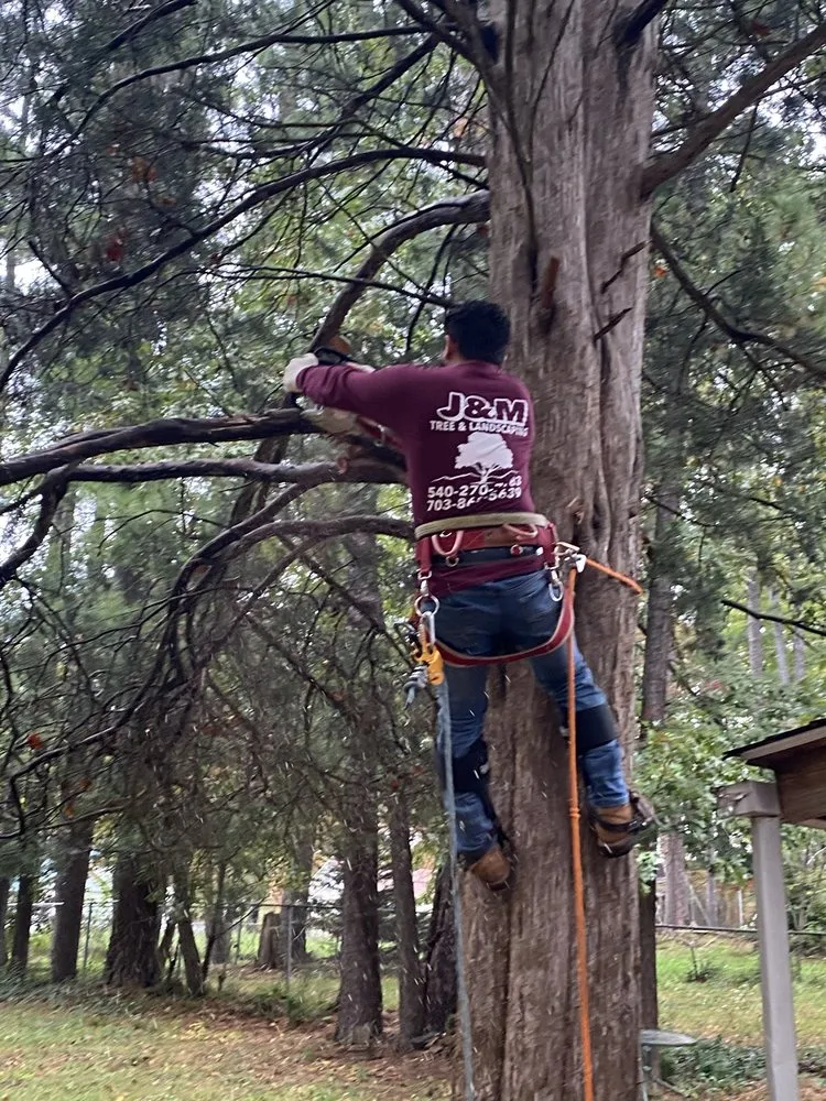 Reliable residential landscaping for beautiful yards across Fredericksburg, VA - J&M Tree Services